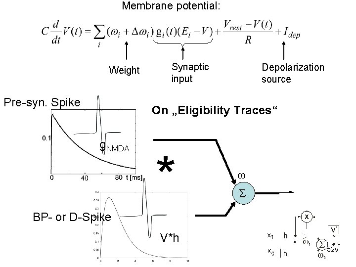 Membrane potential: Weight Pre-syn. Spike Synaptic input Depolarization source On „Eligibility Traces“ g. NMDA