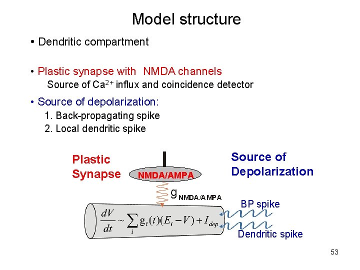 Model structure • Dendritic compartment • Plastic synapse with NMDA channels Source of Ca