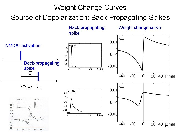 Weight Change Curves Source of Depolarization: Back-Propagating Spikes Back-propagating spike Weight change curve NMDAr