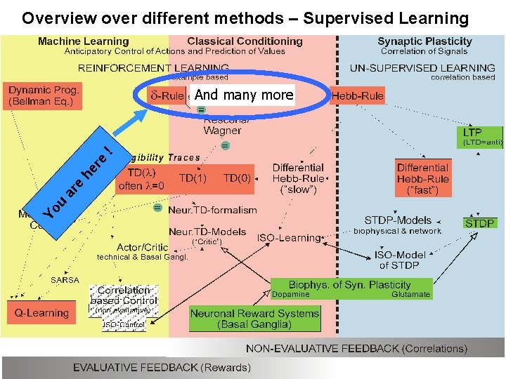 Overview over different methods – Supervised Learning Yo u ar e he re !
