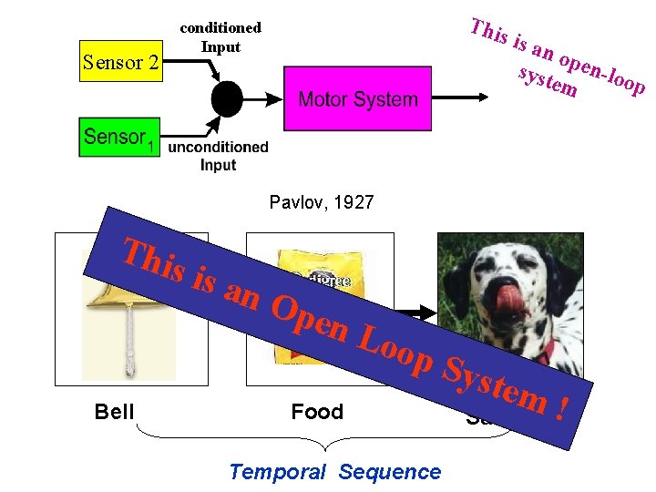 Thi Sensor 2 conditioned Input s is an o syst pen-loo em p Pavlov,
