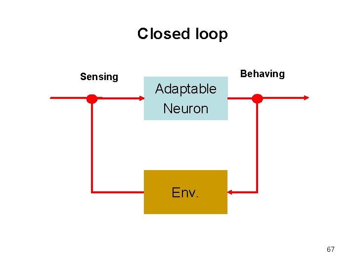 Closed loop Sensing Behaving Adaptable Neuron Env. 67 