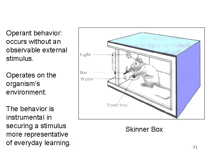 Operant behavior: occurs without an observable external stimulus. Operates on the organism’s environment. The