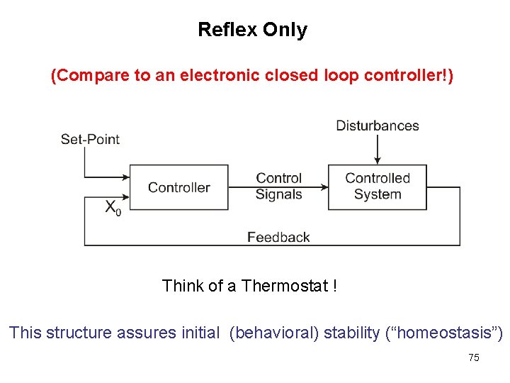 Reflex Only (Compare to an electronic closed loop controller!) Think of a Thermostat !