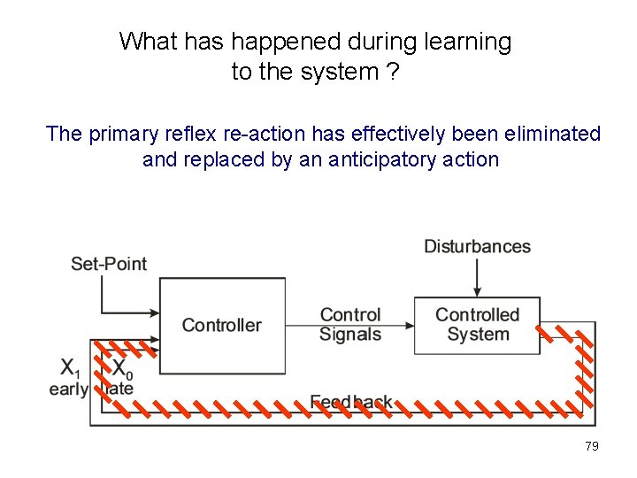 What has happened during learning to the system ? The primary reflex re-action has