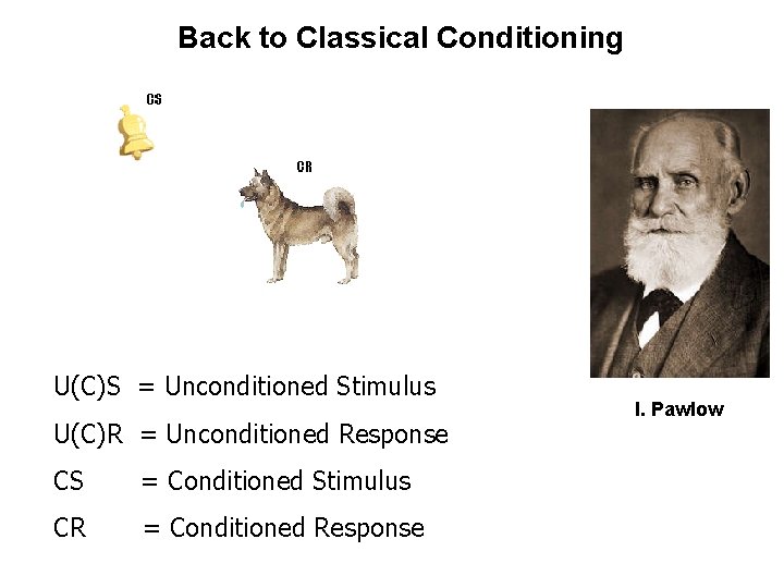 Back to Classical Conditioning U(C)S = Unconditioned Stimulus U(C)R = Unconditioned Response CS =