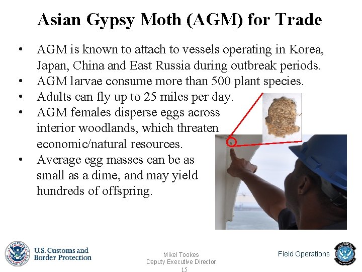 Asian Gypsy Moth (AGM) for Trade • • • AGM is known to attach Asian Gypsy Moth (AGM) for Trade • • • AGM is known to attach