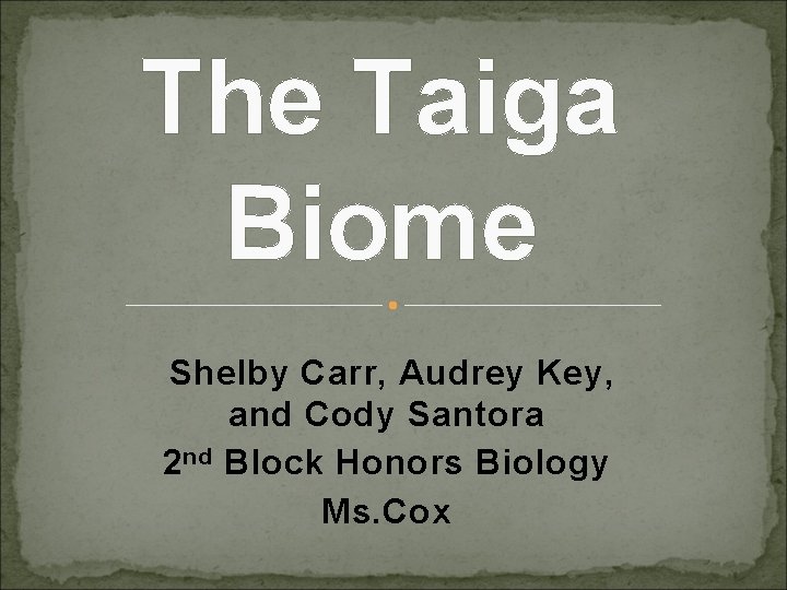 The Taiga Biome Shelby Carr, Audrey Key, and Cody Santora 2 nd Block Honors