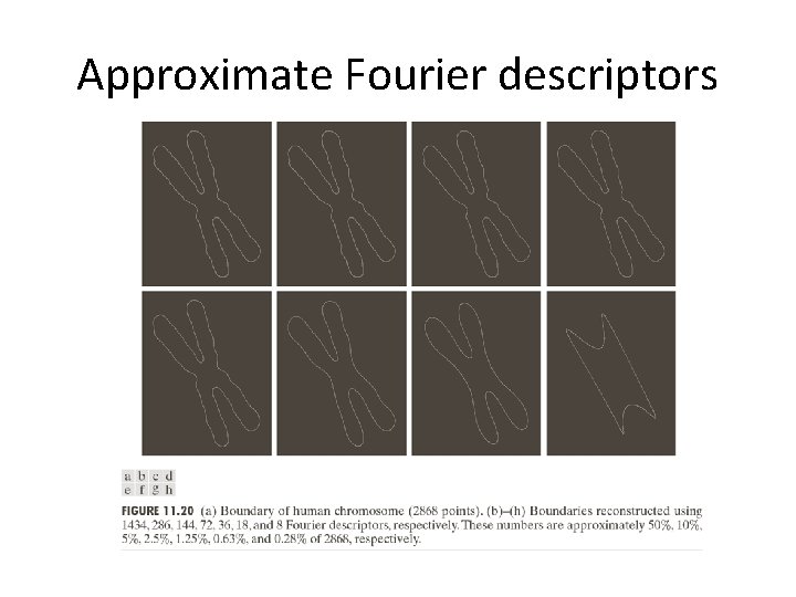 Approximate Fourier descriptors 