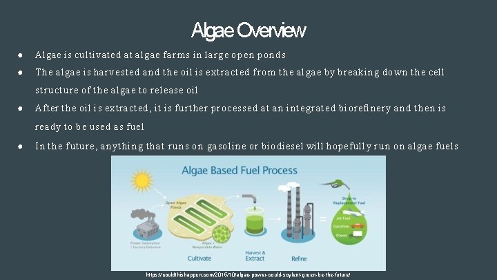 Algae Overview ● Algae is cultivated a t algae f a r m s