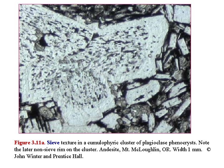 Figure 3. 11 a. Sieve texture in a cumulophyric cluster of plagioclase phenocrysts. Note