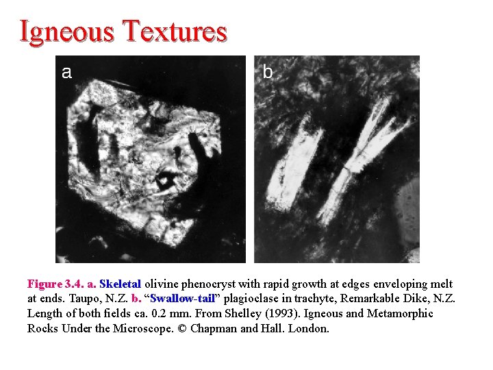 Igneous Textures Figure 3. 4. a. Skeletal olivine phenocryst with rapid growth at edges