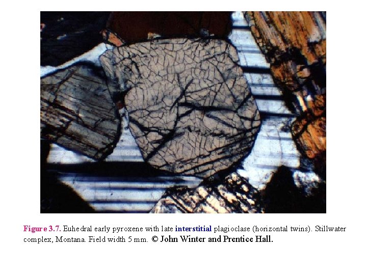 Figure 3. 7. Euhedral early pyroxene with late interstitial plagioclase (horizontal twins). Stillwater complex,