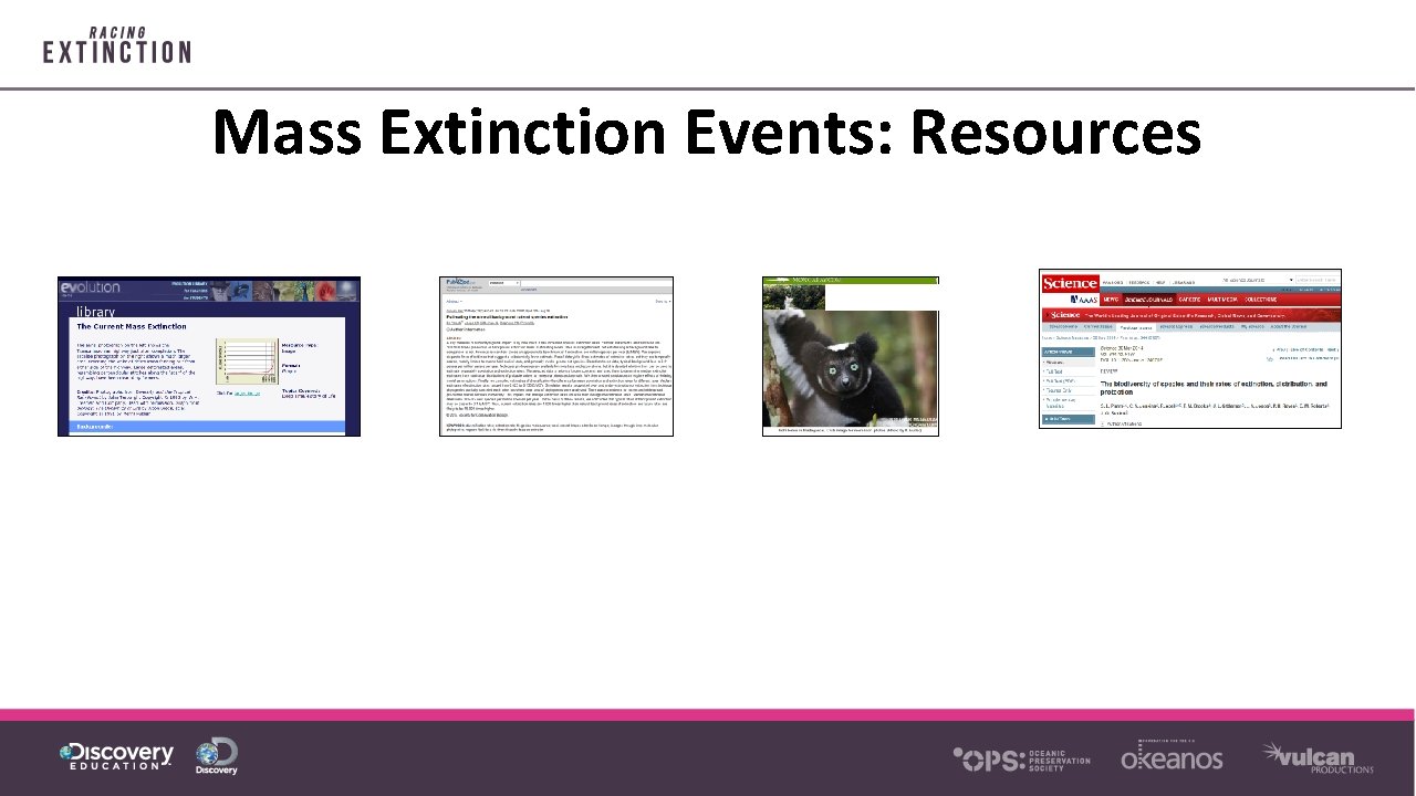 Mass Extinction Events: Resources 