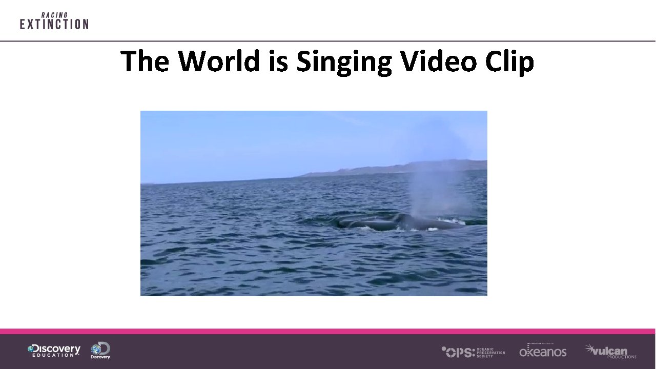 The World is Singing Video Clip 