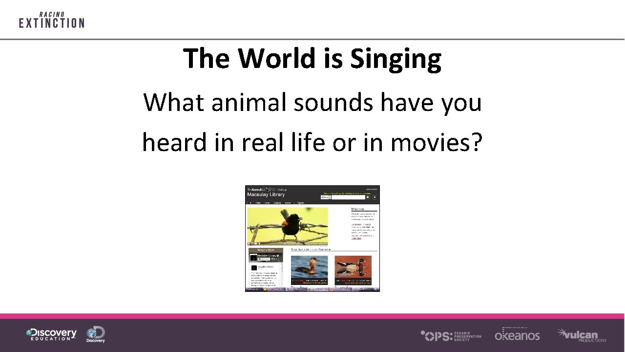 The World is Singing What animal sounds have you heard in real life or