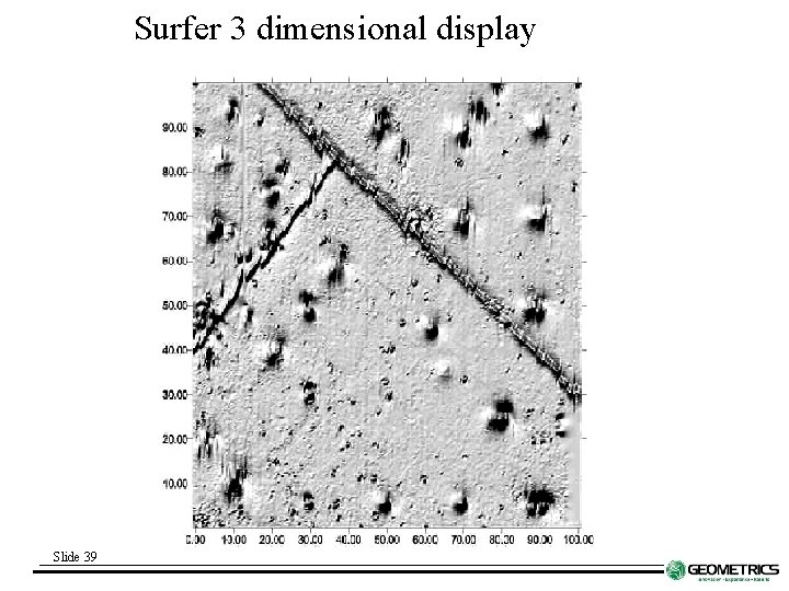 Surfer 3 dimensional display Slide 39 