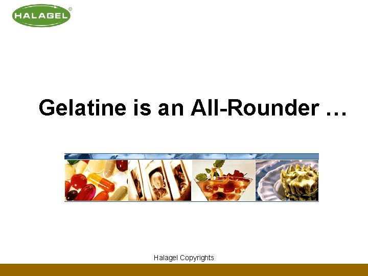 Gelatine is an All-Rounder … Halagel Copyrights 