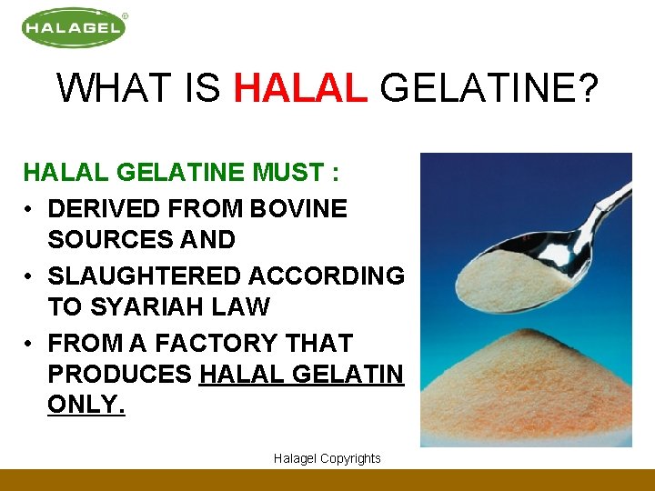 WHAT IS HALAL GELATINE? HALAL GELATINE MUST : • DERIVED FROM BOVINE SOURCES AND