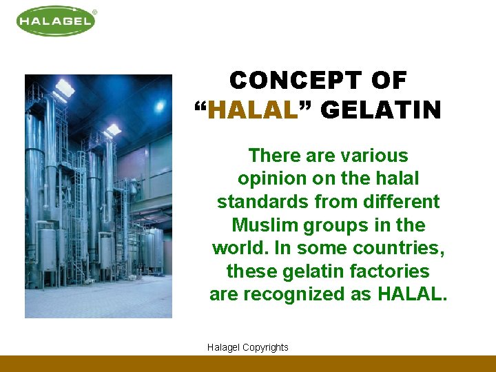 CONCEPT OF “HALAL” GELATIN There are various opinion on the halal standards from different