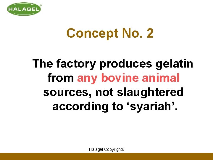Concept No. 2 The factory produces gelatin from any bovine animal sources, not slaughtered
