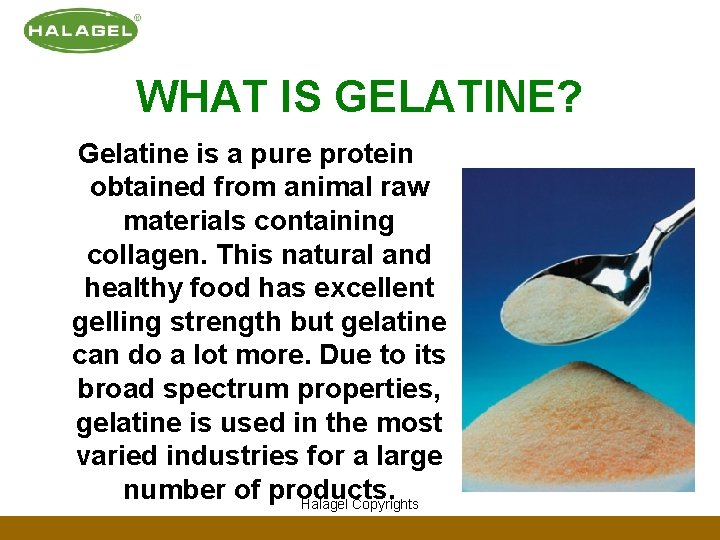 WHAT IS GELATINE? Gelatine is a pure protein obtained from animal raw materials containing