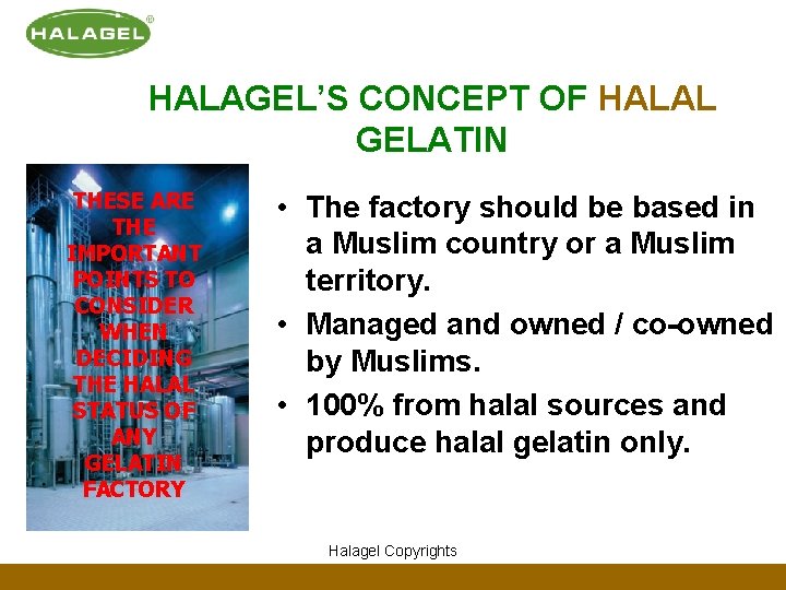 HALAGEL’S CONCEPT OF HALAL GELATIN THESE ARE THE IMPORTANT POINTS TO CONSIDER WHEN DECIDING