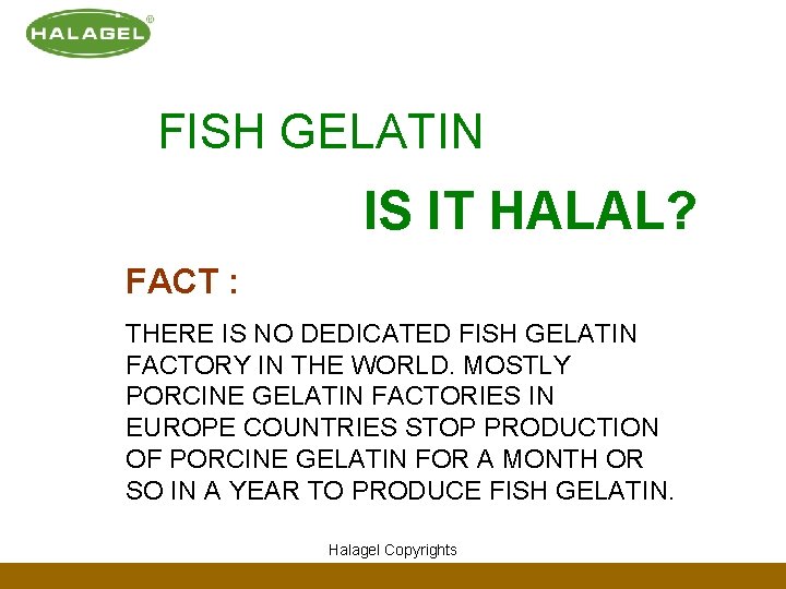 FISH GELATIN IS IT HALAL? FACT : THERE IS NO DEDICATED FISH GELATIN FACTORY FISH GELATIN IS IT HALAL? FACT : THERE IS NO DEDICATED FISH GELATIN FACTORY