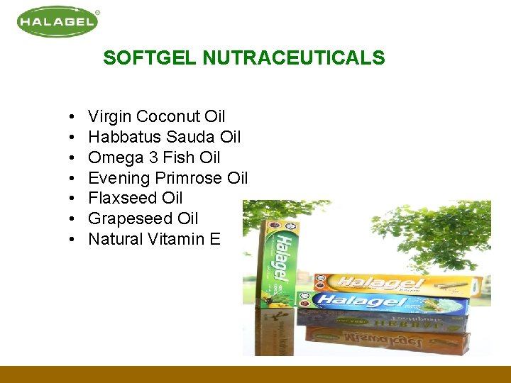 SOFTGEL NUTRACEUTICALS • • Virgin Coconut Oil Habbatus Sauda Oil Omega 3 Fish Oil