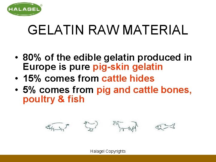 GELATIN RAW MATERIAL • 80% of the edible gelatin produced in Europe is pure