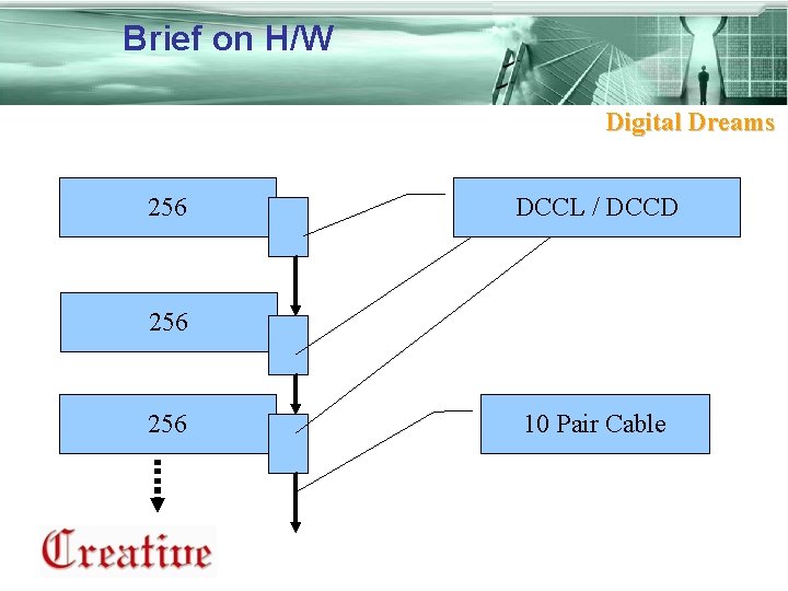 Brief on H/W Digital Dreams 256 DCCL / DCCD 256 10 Pair Cable 