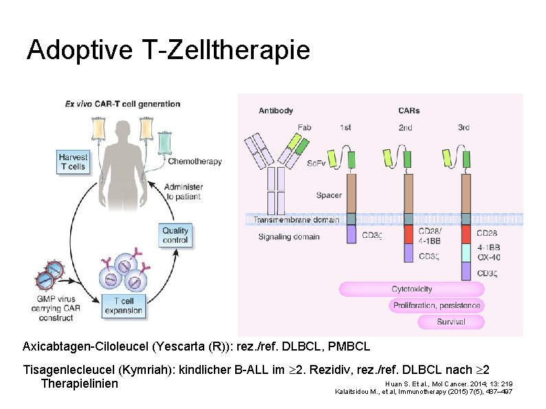 Adoptive T-Zelltherapie Axicabtagen-Ciloleucel (Yescarta (R)): rez. /ref. DLBCL, PMBCL Tisagenlecleucel (Kymriah): kindlicher B-ALL im