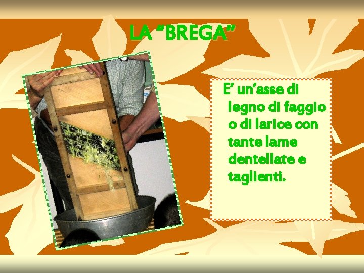 LA “BREGA” E’ un’asse di legno di faggio o di larice con tante lame