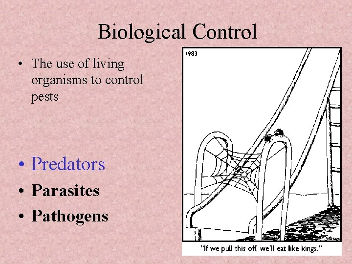 Biological Control • The use of living organisms to control pests • Predators • Biological Control • The use of living organisms to control pests • Predators •