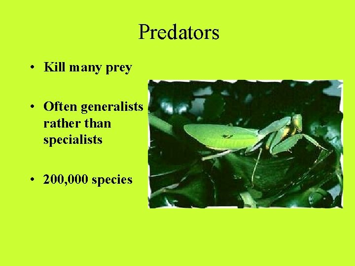 Predators • Kill many prey • Often generalists rather than specialists • 200, 000 Predators • Kill many prey • Often generalists rather than specialists • 200, 000