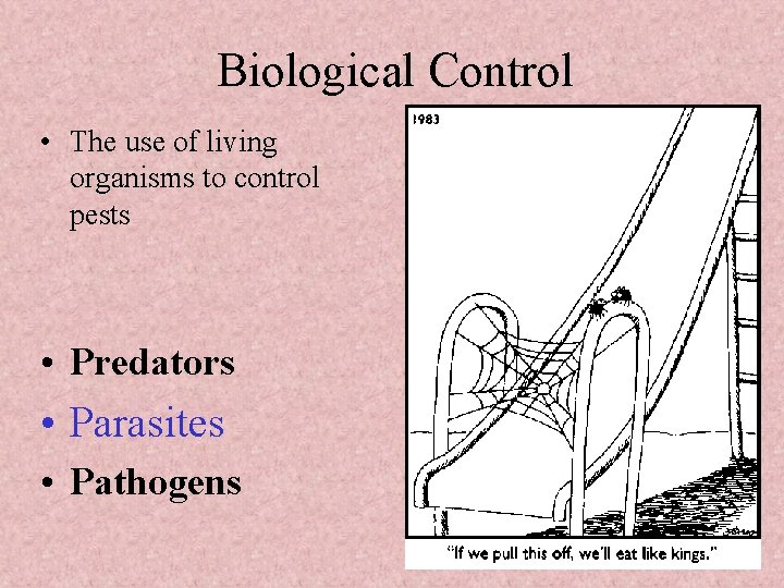 Biological Control • The use of living organisms to control pests • Predators • Biological Control • The use of living organisms to control pests • Predators •