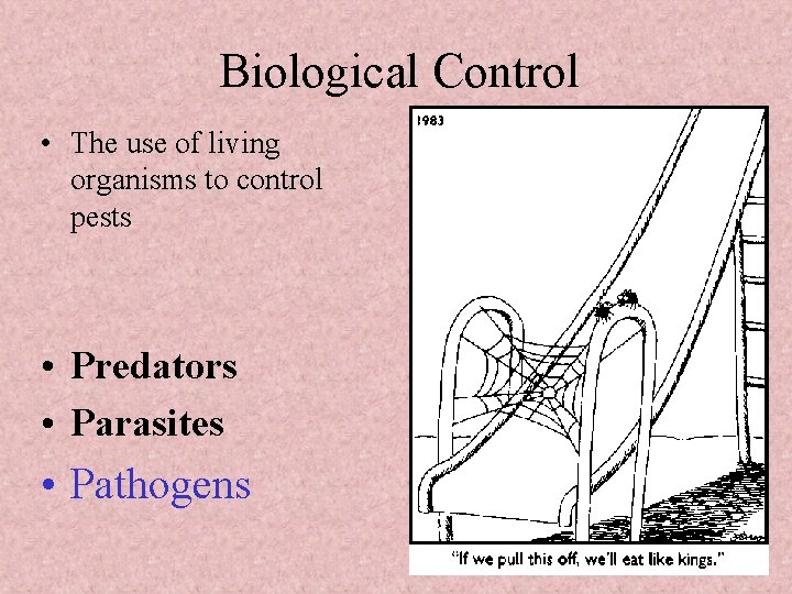Biological Control • The use of living organisms to control pests • Predators • Biological Control • The use of living organisms to control pests • Predators •