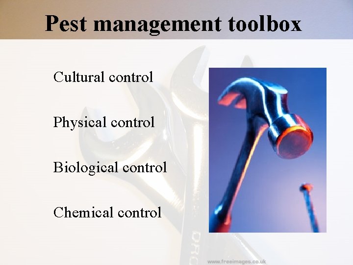 Pest management toolbox Cultural control Physical control Biological control Chemical control Pest management toolbox Cultural control Physical control Biological control Chemical control