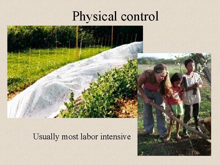 Physical control Usually most labor intensive Physical control Usually most labor intensive
