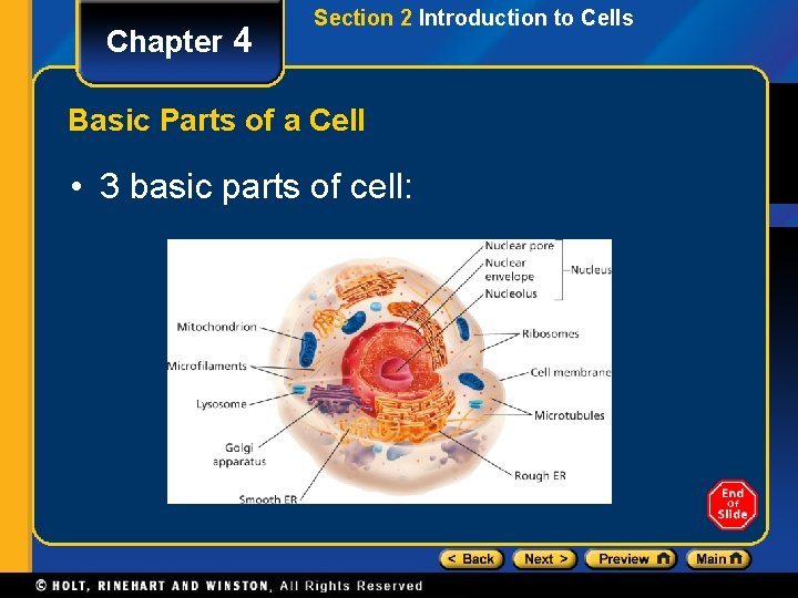 Chapter 4 Section 2 Introduction to Cells Basic Parts of a Cell • 3