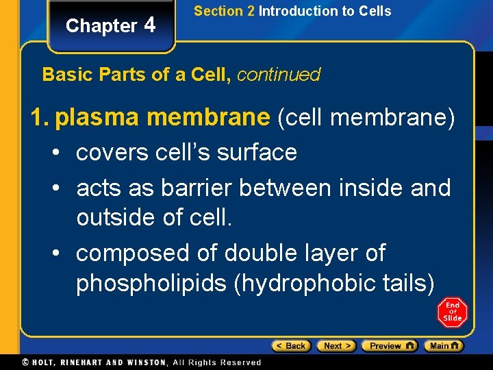 Chapter 4 Section 2 Introduction to Cells Basic Parts of a Cell, continued 1.