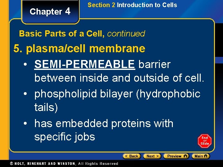 Chapter 4 Section 2 Introduction to Cells Basic Parts of a Cell, continued 5.