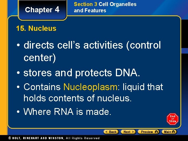 Chapter 4 Section 3 Cell Organelles and Features 15. Nucleus • directs cell’s activities