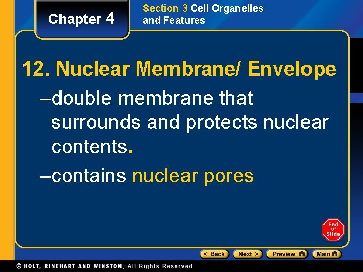 Chapter 4 Section 3 Cell Organelles and Features 12. Nuclear Membrane/ Envelope –double membrane