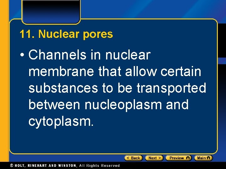 11. Nuclear pores • Channels in nuclear membrane that allow certain substances to be