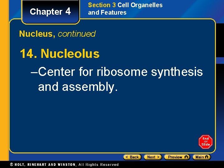 Chapter 4 Section 3 Cell Organelles and Features Nucleus, continued 14. Nucleolus –Center for