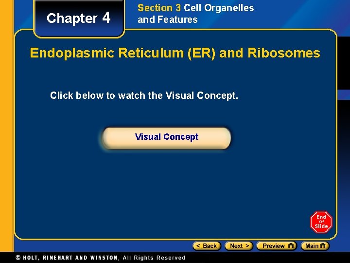 Chapter 4 Section 3 Cell Organelles and Features Endoplasmic Reticulum (ER) and Ribosomes Click