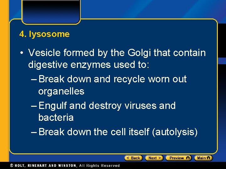 4. lysosome • Vesicle formed by the Golgi that contain digestive enzymes used to: