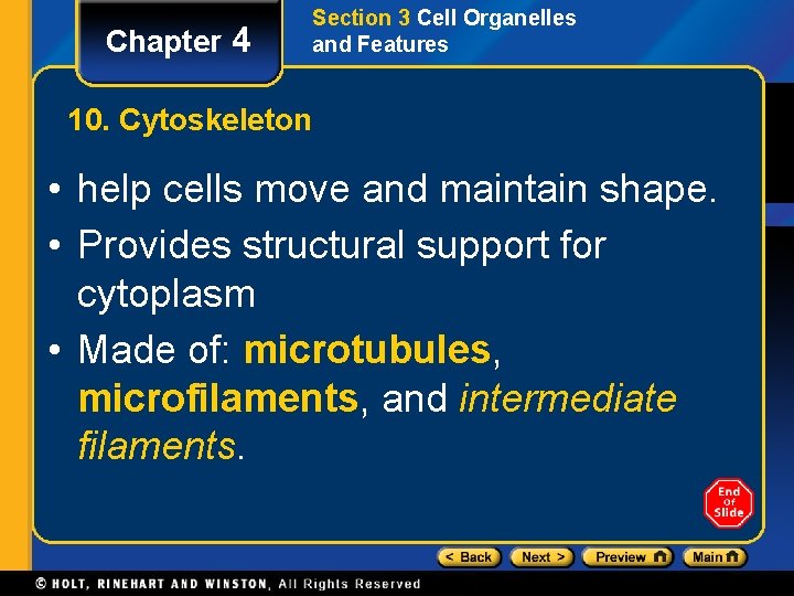 Chapter 4 Section 3 Cell Organelles and Features 10. Cytoskeleton • help cells move