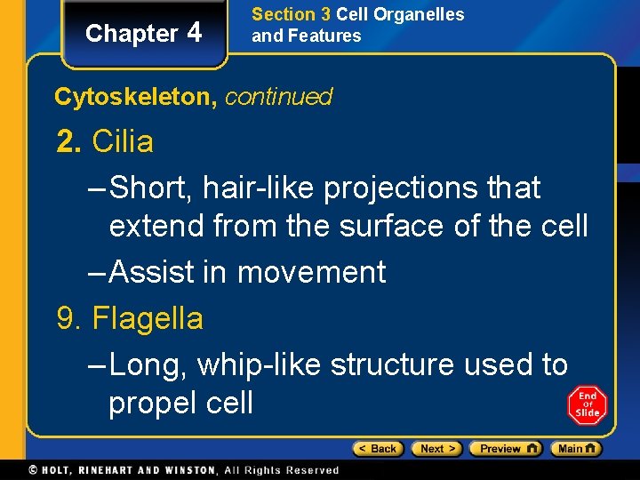 Chapter 4 Section 3 Cell Organelles and Features Cytoskeleton, continued 2. Cilia – Short,